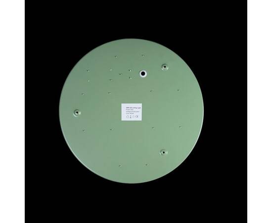 Потолочный светодиодный светильник Loft IT Axel 10003/24 green, изображение 2