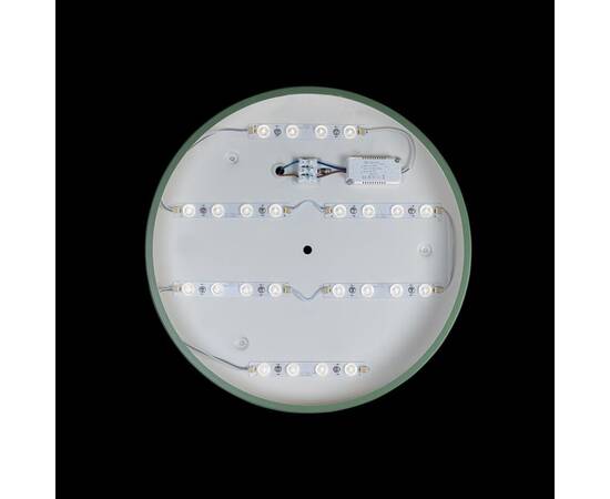 Потолочный светодиодный светильник Loft IT Axel 10003/24 green, изображение 3