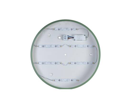 Потолочный светодиодный светильник Loft IT Axel 10003/24 green, изображение 4