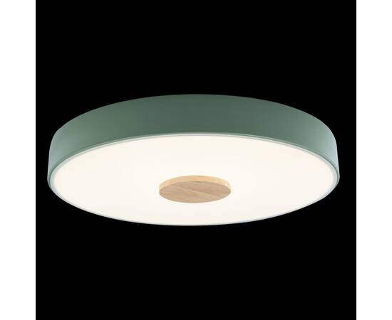 Потолочный светодиодный светильник Loft IT Axel 10003/24 green, изображение 5