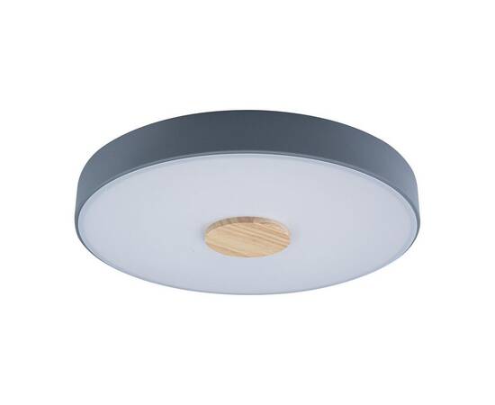 Потолочный светодиодный светильник Loft IT Axel 10003/24 grey