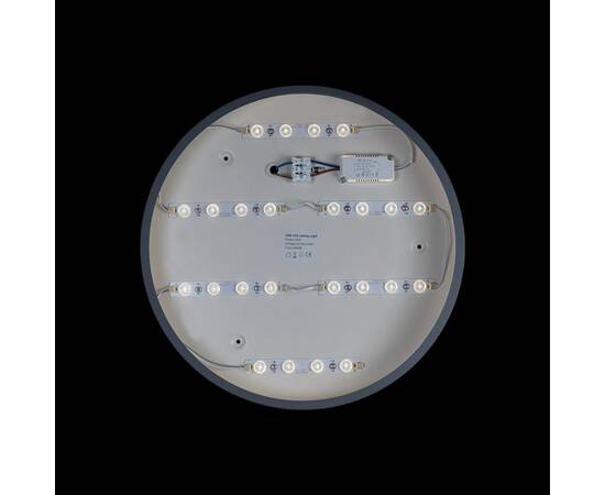 Потолочный светодиодный светильник Loft IT Axel 10003/24 grey, изображение 3