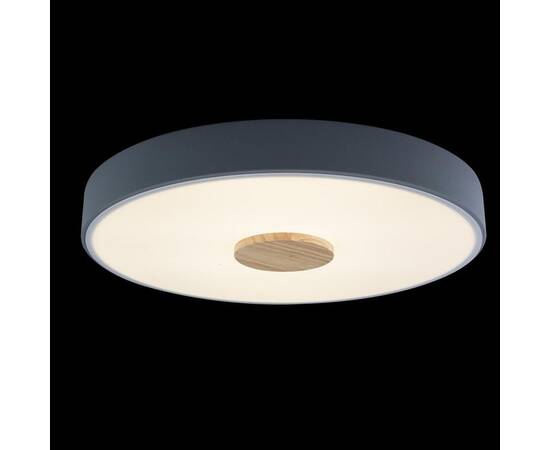 Потолочный светодиодный светильник Loft IT Axel 10003/24 grey, изображение 5