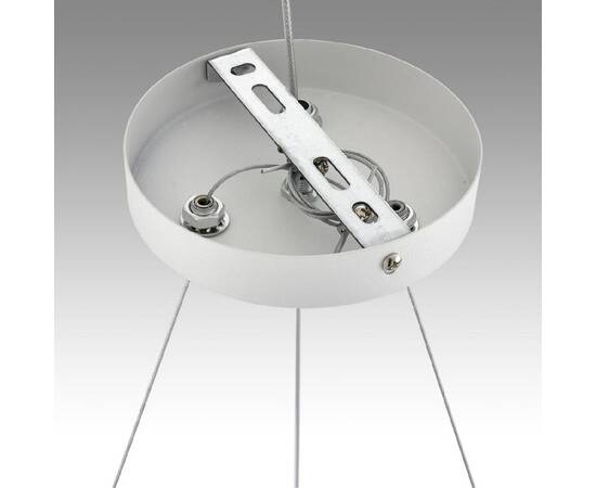 Подвесная люстра Lumion Luazana 8254/6, изображение 5