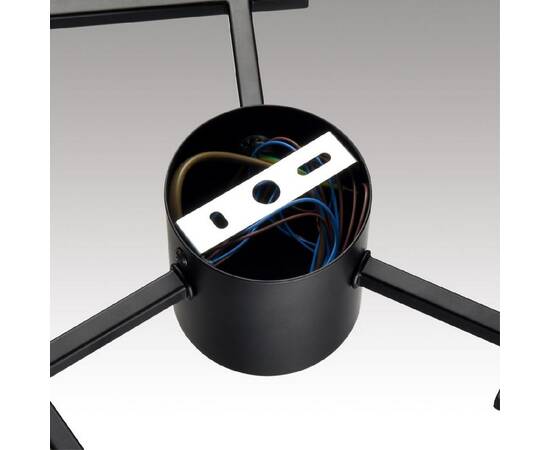 Потолочная люстра Lumion Dabra 8186/6C, изображение 6