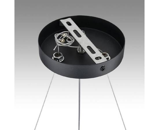 Подвесная люстра Lumion Luazana 8242/6, изображение 5