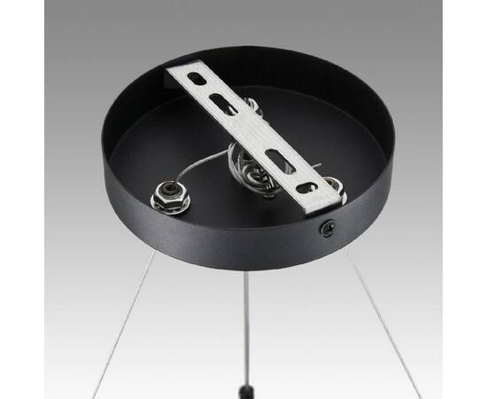 Подвесная люстра Lumion Luazana 8242/9, изображение 5