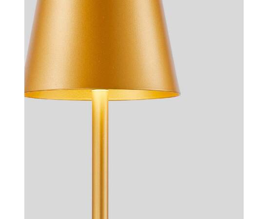 Настольная лампа F-Promo Pyari 4616-1T, изображение 4