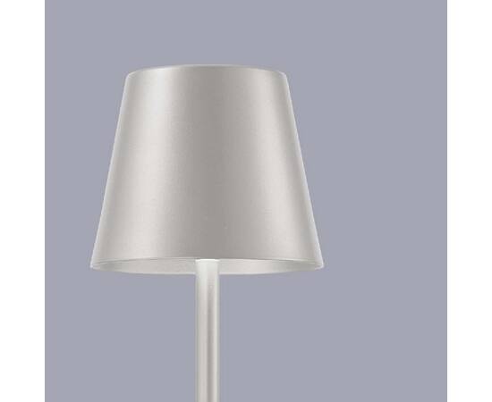 Настольная лампа F-Promo Pyari 4617-1T, изображение 4