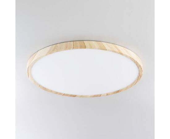 Потолочный светильник Citilux Бейсик CL738322V