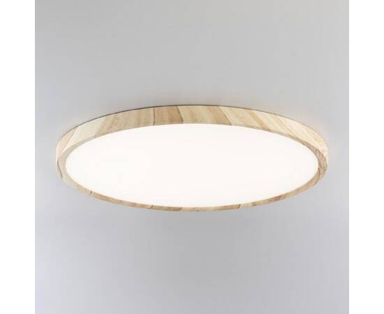 Потолочный светильник Citilux Бейсик CL738322V, изображение 2