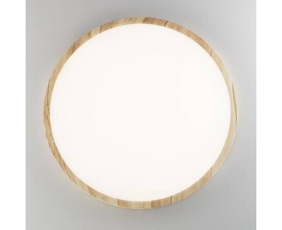 Потолочный светильник Citilux Бейсик CL738322V, изображение 4