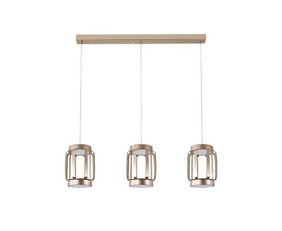 Подвесной светильник Indigo Capsula 14027/6P Gold V000156L, изображение 2