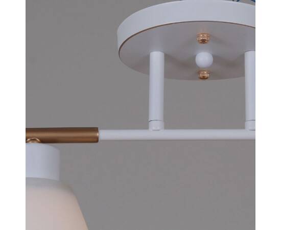 Потолочный светильник Reluce 07594-0.3-02 WG, изображение 4