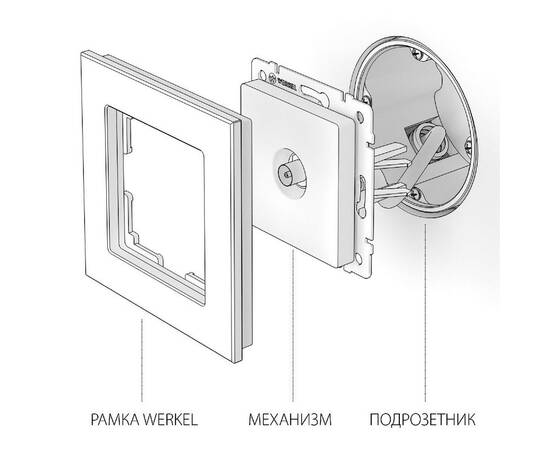 ТВ-розетка проходная Werkel 4690389155512 W1184001 a051116, изображение 4