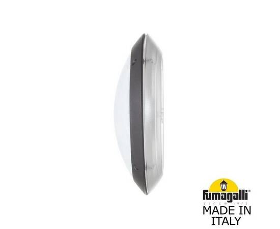 Уличный настенный светильник Fumagalli Lucia 1R3.000.000.AYE27CL1, изображение 6