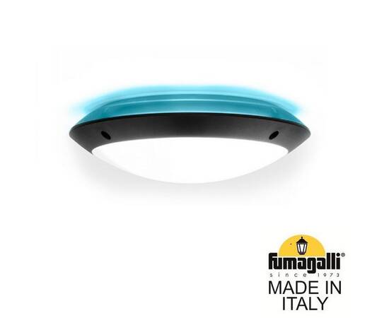 Уличный настенный светильник Fumagalli Lucia 1R3.000.000.AYE27BU1