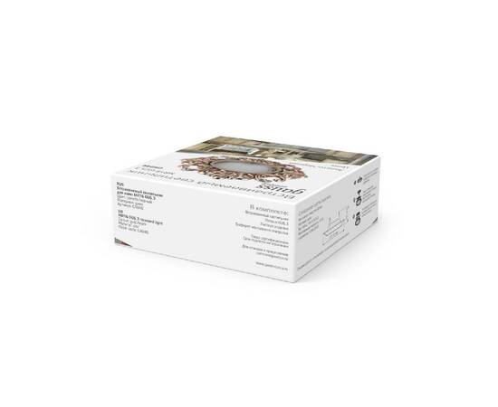 Встраиваемый светильник Gauss Antique CA046, изображение 9