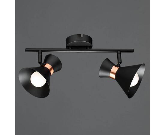 Спот Arte Lamp Baltimore A1406AP-2BK, изображение 2