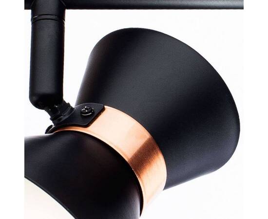 Спот Arte Lamp Baltimore A1406AP-2BK, изображение 3