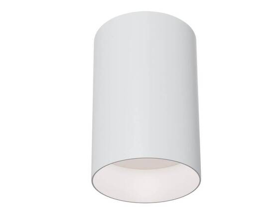 Потолочный светильник Maytoni Alfa C014CL-01W