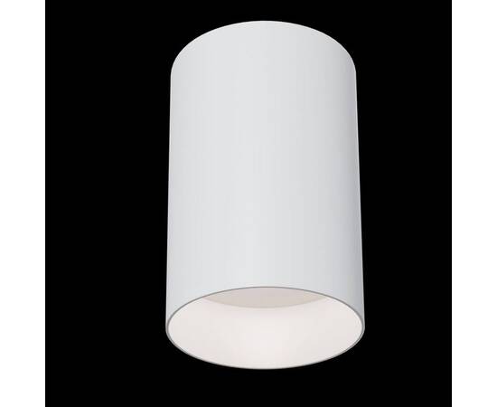 Потолочный светильник Maytoni Alfa C014CL-01W, изображение 4