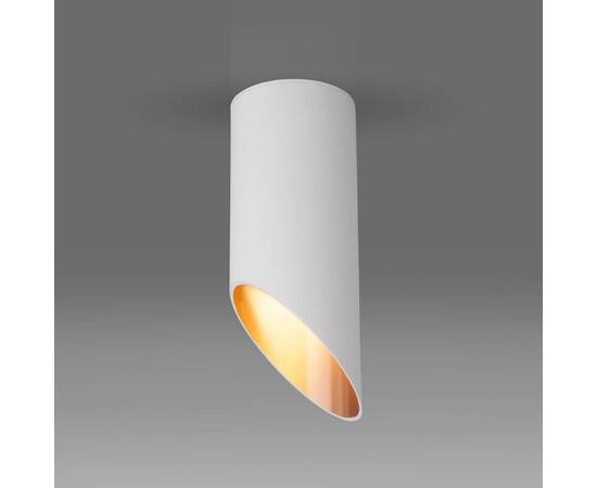 Потолочный светильник Elektrostandard DLN114 GU10 белый/золото a050119, изображение 2