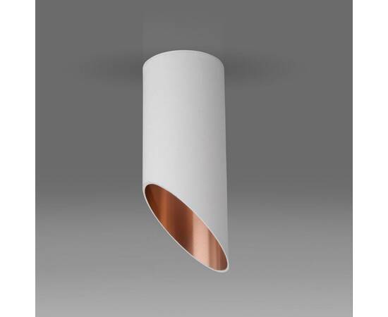 Потолочный светильник Elektrostandard DLN114 GU10 белый/золото a050119, изображение 3