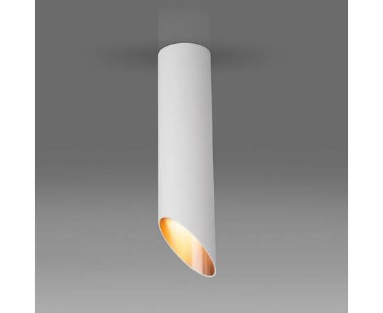 Потолочный светильник Elektrostandard DLN115 GU10 белый/золото a050121, изображение 2