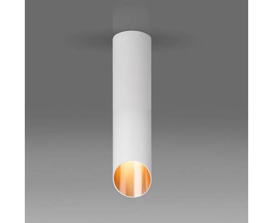 Потолочный светильник Elektrostandard DLN115 GU10 белый/золото a050121, изображение 3