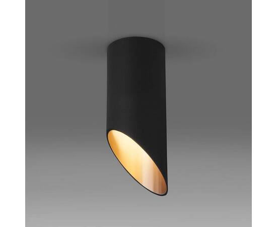 Потолочный светильник Elektrostandard DLN114 GU10 черный/золото a050120, изображение 2