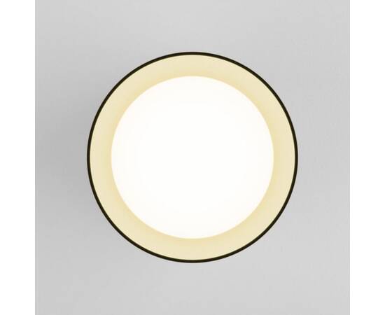 Потолочный светодиодный светильник Elektrostandard Topper DLR021 черный жемчуг a053054, изображение 3