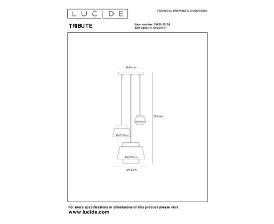 Подвесной светильник Lucide Tribute 21435/13/38, изображение 8