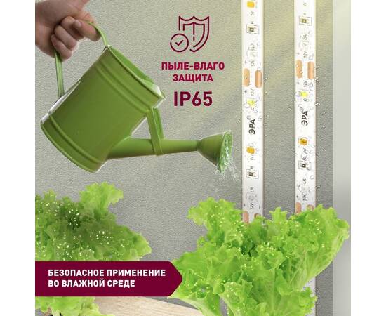 Светодиодная лента Эра FITO-Strip Light-Rа90-3m Б0059881, изображение 5