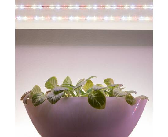 Светодиодная лента Эра FITO-Strip Light-Rа90-3m Б0059881, изображение 13