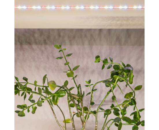 Светодиодная лента Эра FITO-Strip Light-Rа90-3m Б0059881, изображение 14