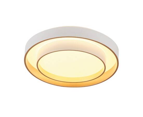 Потолочный светильник Myfar Rhea MR9161-CL, изображение 3