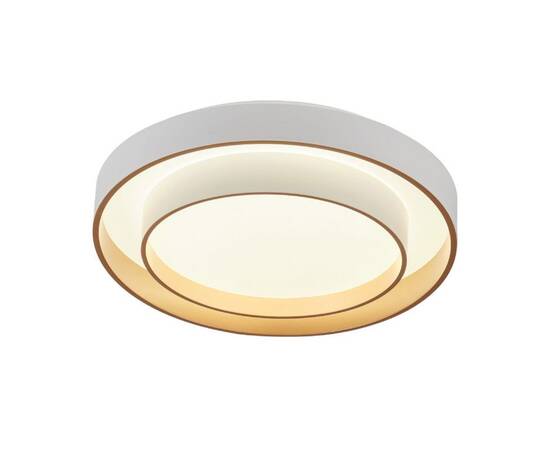 Потолочный светильник Myfar Rhea MR9161-CL, изображение 4