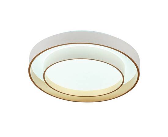 Потолочный светильник Myfar Rhea MR9161-CL, изображение 5