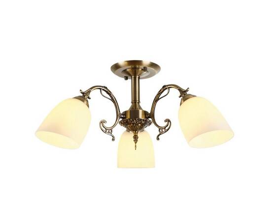 Люстра на штанге Myfar Biene MR1522-3C, изображение 2