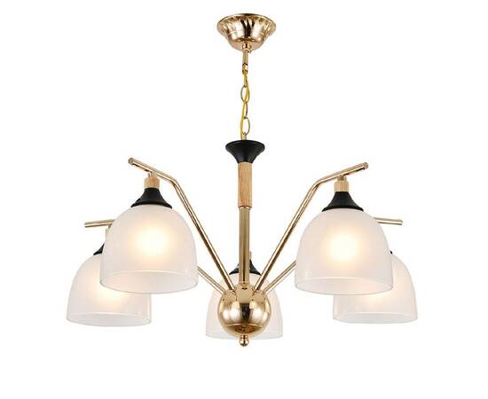 Подвесная люстра Escada Actinidia 2123/5P