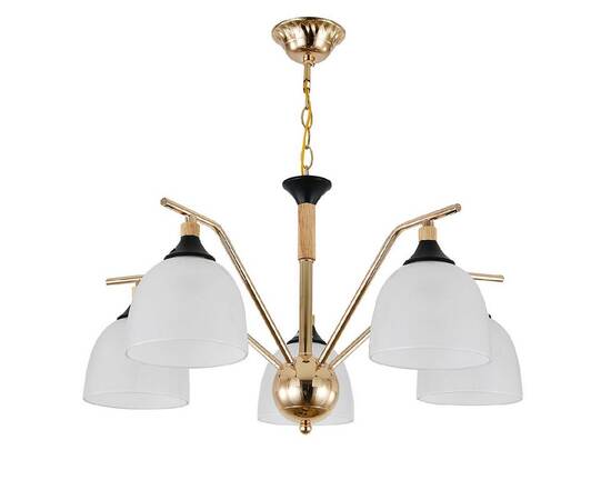 Подвесная люстра Escada Actinidia 2123/5P, изображение 2