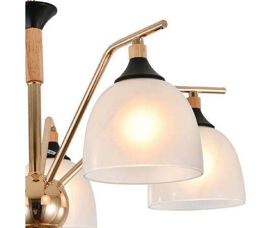 Подвесная люстра Escada Actinidia 2123/5P, изображение 3