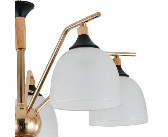 Подвесная люстра Escada Actinidia 2123/5P, изображение 4