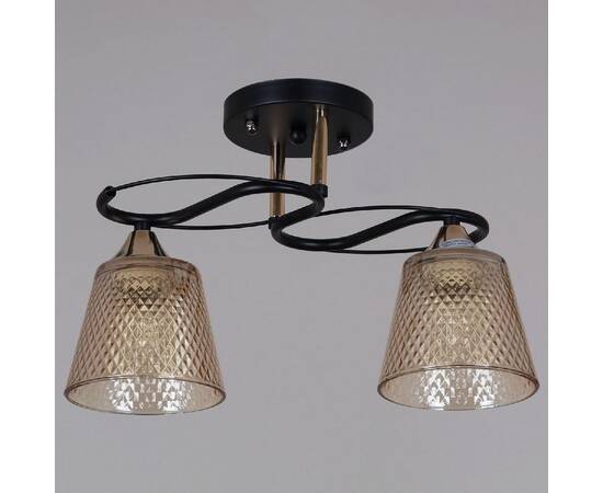 Потолочный светильник Reluce 06087-0.3-02 BK+FG, изображение 2