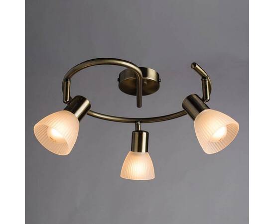 Спот Arte Lamp Parry A5062PL-3AB, изображение 3