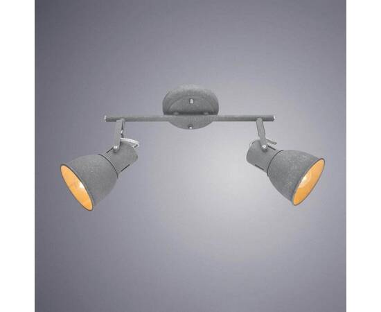Спот Arte Lamp A1677PL-2GY, изображение 2