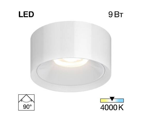 Накладной светильник Citilux Rover CL743090N