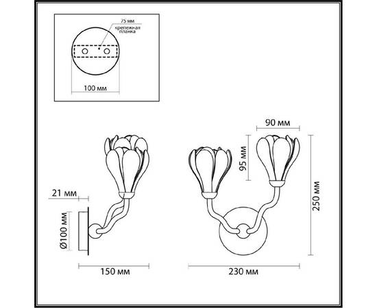 Бра Odeon Light Gardi Modern 5090/2W, изображение 5