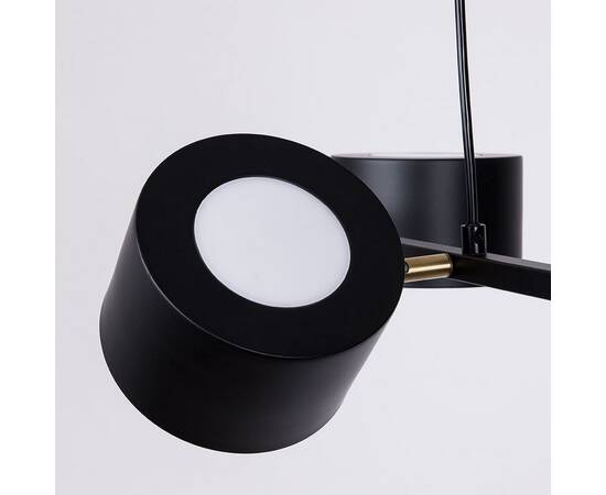 Подвесная люстра Arte Lamp Sebastian A7051SP-4BK, изображение 2